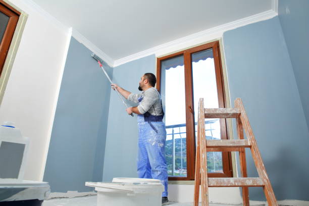 Best Cabinet Painting and Refinishing  in Shaw Heights, CO